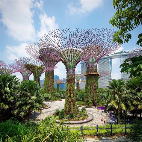 Gardens by the Bay | Singapore garden, Gardens by the bay, Tourist attraction