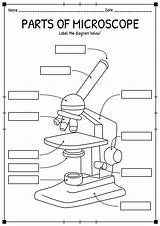 Labeled Compound Microscope Parts Sketch Coloring Page sketch template