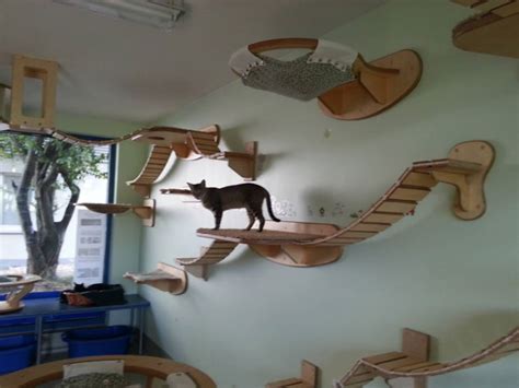 Guy Makes The Most Amazing Feline Jungle Gyms!