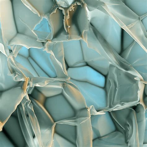 Sem Of Styrodur Insulation Photograph by Meckes/ottawa - Fine Art America