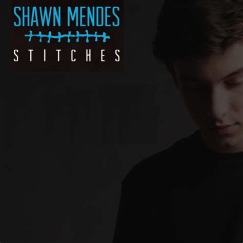 Shawn Mendes - Stitches - Reviews - Album of The Year