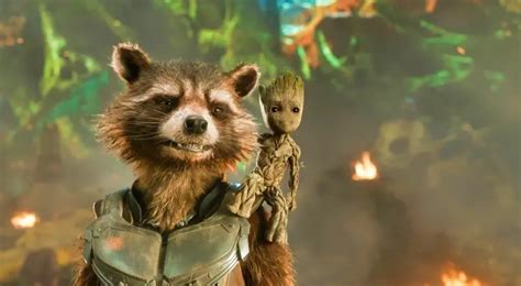 Rocket Raccoon from Marvel Cinematic Universe | CharacTour