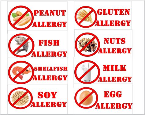 12 pcs Most Food Allergies Stickers/Milk Allergy/Peanut | Etsy