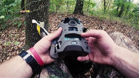 Top-rated HD game cameras for hunting, watching your property, and more ...