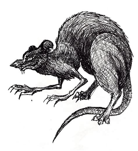 Scary Rat Drawing at PaintingValley.com | Explore collection of Scary ...