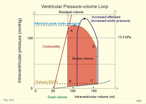 left ventricular pressure-volume loop - meddic