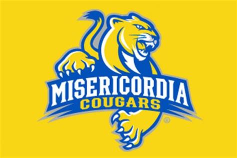 Misericordia University Job Opportunities