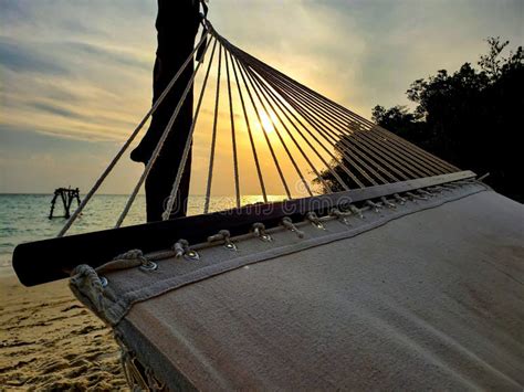 Traditional Hammock into a Paradise Island Beach Cambodia at Sunset Stock Image - Image of ...