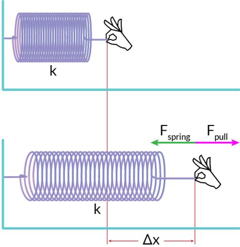 Hooke's Law | Class Eleven Physics