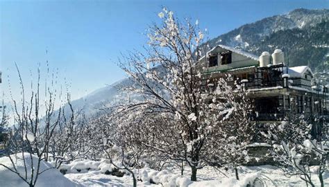 Snowfall In Manali: Visit This Hill Town In Its Best Season