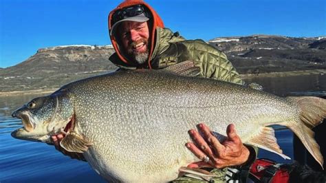 U.S. fisher's lake trout catch poses challenge to record set in N.W.T. | CBC News