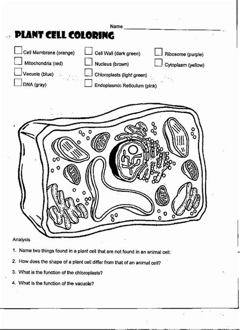 Plant Cell Printable