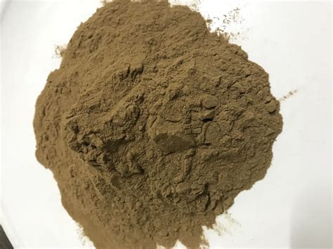 Chaga Mushroom 30:1 Extract Powder | Customised Health