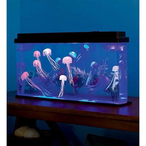 Modern Jellyfish Aquarium Kit | Jellyfish aquarium, Jellyfish tank, Aquarium fish tank