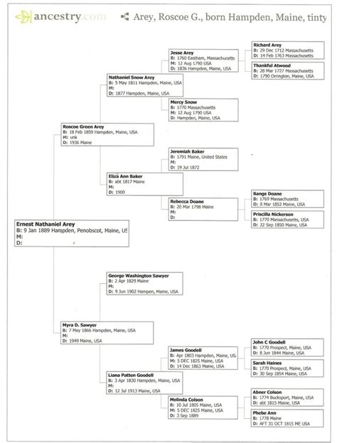 George Washington Family Tree Chart