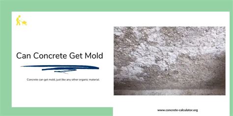 Can Concrete Get Mold? | Prevention & Cleaning Tips – Concrete Calculator