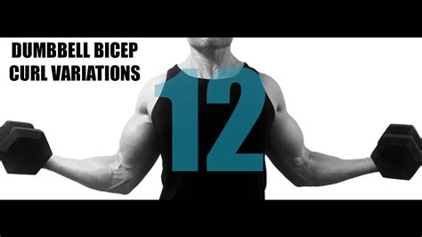 12 DUMBBELL BICEP CURL VARIATIONS AND WHAT PART OF THE BICEPS THEY ...