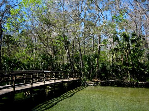 Wekiwa Springs Wet to Dry Trail | Florida Hikes!