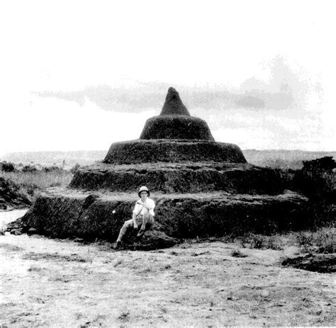 ANCIENT PYRAMIDS IN IGBO LAND SUGGEST A WEST AFRICAN ORIGIN - IGBO HISTORY MUSEUM