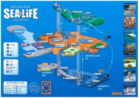 Sea Life Melbourne Aquarium – Entertainment for Big and Small - Modern Housewives