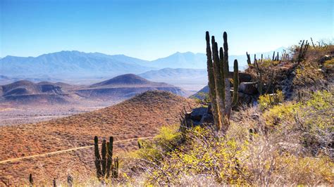 California Desert Wallpapers - Top Free California Desert Backgrounds - WallpaperAccess