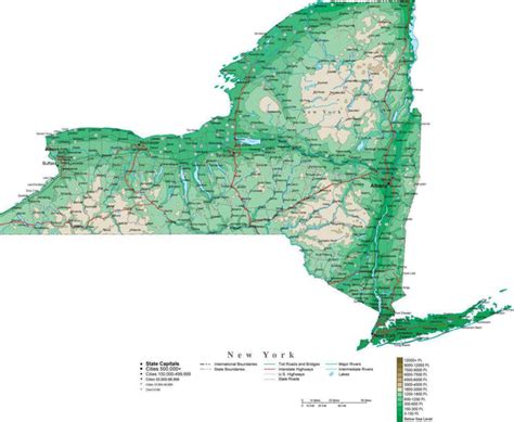 New York Contour Map in Adobe Illustrator Digital Vector Format