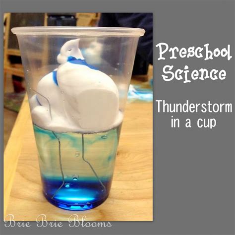 20 Science Activities For Preschoolers - Bored Art