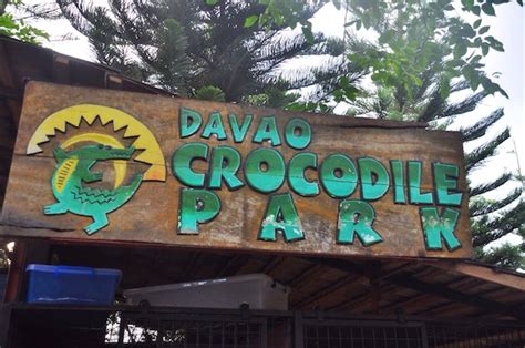 Davao Crocodile Park - Out of Town Blog