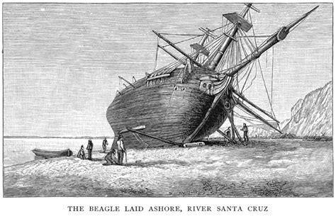 Historians Are Looking for Images of the HMS Beagle's Anchors | Smithsonian