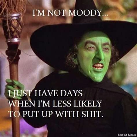 Wicked Witch Of The West Quotes - ShortQuotes.cc