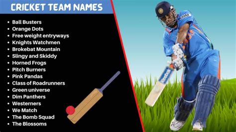 [1650+] Funny Cricket Team Names To Call Your Cricket Group