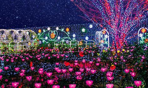 View Event :: Ashikaga Flower Park Illumination :: Camp Zama :: US Army MWR