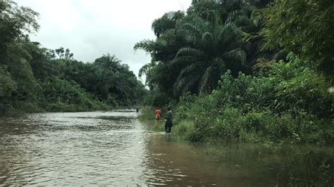 Road to Greenville, Liberia - YouTube