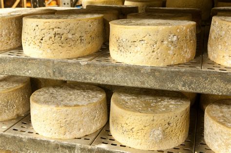 15 Most Expensive Cheeses in the World - Facts.net