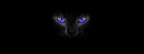 HD wallpaper: cat eyes, simple background, black cats, smoky eyes ...