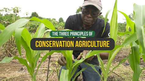 CONSERVATION AGRICULTURE - The Three Principles - YouTube