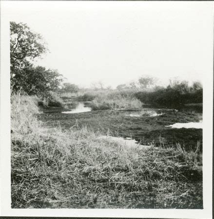 Akobo river near Pochala (1998.342.10.2) from the Southern Sudan Project