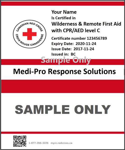 Wilderness First Aid Bridge courses - MEDI-PRO FIRST AID TRAINING IN ...