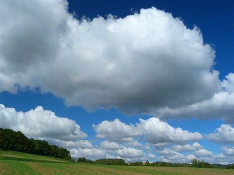 Cumulus mediocris (Cu med) | International Cloud Atlas