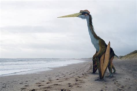 The Feathered Serpent God, Quetzalcoatlus