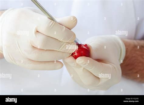 Chef Carving Radish Stock Photo - Alamy