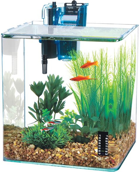 10 Gallon Fish Tanks | ubicaciondepersonas.cdmx.gob.mx