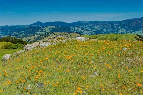 Discover the Best Sonoma County Hiking Trails