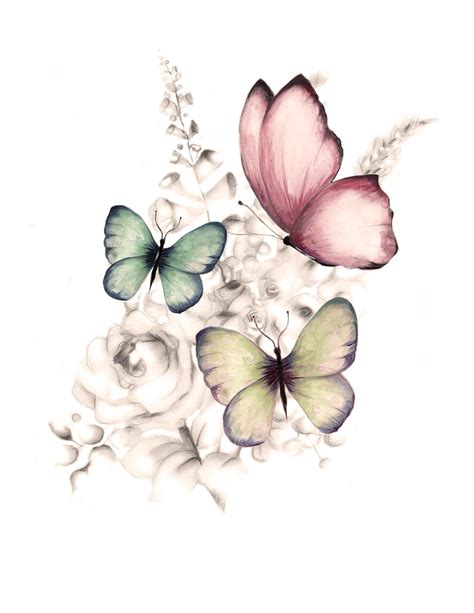 Watercolor Flowers, Flower Painting, Watercolor Art, Art Painting, Butterfly Drawing, Butterfly ...