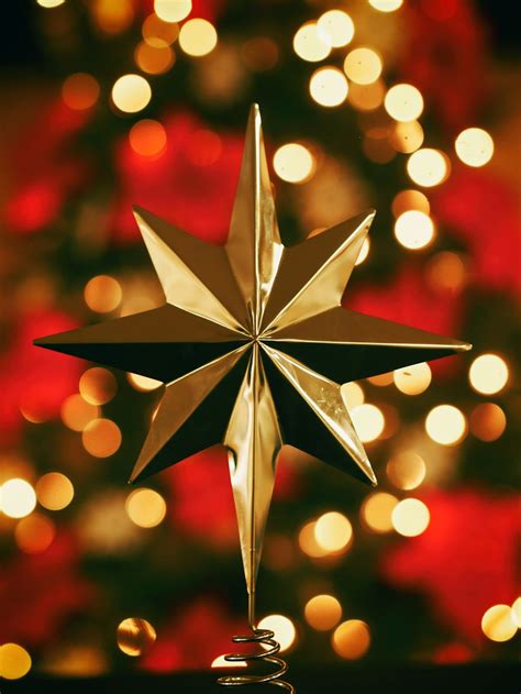 Christmas Star Pictures | Download Free Images on Unsplash