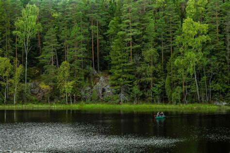 Nuuksio National Park Hike - Ataman Tours - #1 Walking Tour in Helsinki