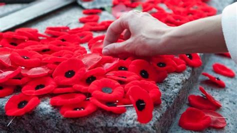 8 ways to pin your Remembrance Day poppy - Ottawa - CBC News