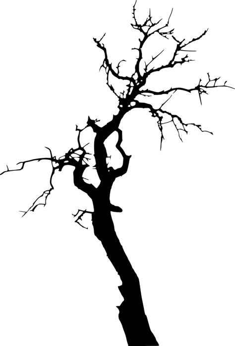 17 Dead Tree Silhouette (PNG Transparent) | OnlyGFX.com