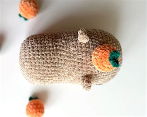 Capybara CROCHET PATTERN Amigurumi Guinea Pig Plushie - Etsy