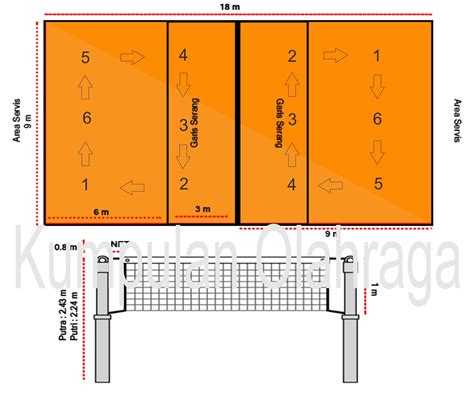 Posisi Pemain Bola Voli - Kumpulan Olahraga